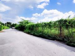 ขายถูก ที่ดินอ่อนนุช ติดถนนกว้าง 8 m. (เหมาะสร้าง บ้าน + สำนักงาน + Townhome) 358 ตร.ว. หน้ากว้างติดถนน 42 m. แหล่งคนทำงาน # ใกล้ Lotus-202112261042501640490170906.jpg