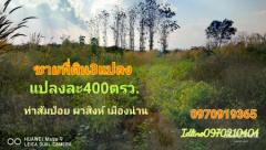 ขาย ที่ดิน ติดถนน วิวสวย 100 ตร.วา ต.ผาสิงห์ เมืองน่าน