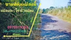 ขาย ที่ดิน ติดถนน วิวสวย 100 ตร.วา ต.ผาสิงห์ เมืองน่าน-202201231643541642931034992.jpg