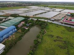 ขาย ที่ดิน ที่ดินลาดกระบัง ใกล้สุวรรณภูมิ Airport 8 Km.—ติดถนนกว้าง 6 เลน (เหมาะสร้างหมู่บ้าน โครงการจัดสรร แนวราบ) 544-2-98.4 ไร่-202202040554371643928877390.jpg