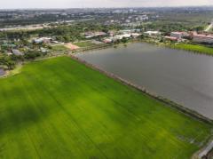 ขาย ที่ดิน ที่ดินลาดกระบัง ใกล้สุวรรณภูมิ Airport 8 Km.—ติดถนนกว้าง 6 เลน (เหมาะสร้างหมู่บ้าน โครงการจัดสรร แนวราบ) 544-2-98.4 ไร่-202202040554391643928879661.jpg