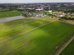 ขาย ที่ดิน ที่ดินลาดกระบัง ใกล้สุวรรณภูมิ Airport 8 Km.—ติดถนนกว้าง 6 เลน (เหมาะสร้างหมู่บ้าน โครงการจัดสรร แนวราบ) 544-2-98.4 ไร่-202202040554401643928880915.jpg