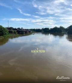 ขาย ที่ดิน ติดแม่น้ำยม ติดถนน 4 ไร่ 2 งาน 89 ตร.วา สามง่าม พิจิตร-202202161243121644990192558.jpg