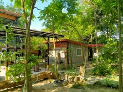 ขายบ้านเดี่ยวกลางน้ำสไตล์บ้านสวน 3หลัง เนื้อที่ 1 ไร่ บ้านชากหมาก ต.สำนักท้อน อ.บ้านฉาง จ.ระยอง-202202242141331645713693511.jpg