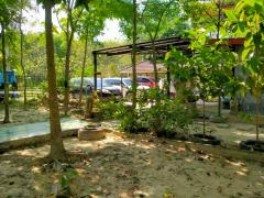 ขายบ้านเดี่ยวกลางน้ำสไตล์บ้านสวน 3หลัง เนื้อที่ 1 ไร่ บ้านชากหมาก ต.สำนักท้อน อ.บ้านฉาง จ.ระยอง-202202242142451645713765123.jpg