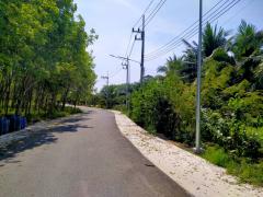 ขายบ้านเดี่ยวกลางน้ำสไตล์บ้านสวน 3หลัง เนื้อที่ 1 ไร่ บ้านชากหมาก ต.สำนักท้อน อ.บ้านฉาง จ.ระยอง-202202242143421645713822450.jpg