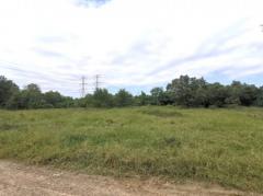 ขาย ที่ดิน ซอยแบนชะโด 3 คลองสามวา มีนบุรี 4 ไร่ 3 งาน 54 ตร.วา เหมาะทำโกดัง ฟาร์ม บ้านพักอาศัย-202203311008431648696123633.jpg