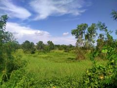 ขายที่ดินระยอง บ้านค่าย 1ไร่ 3 งาน 54 ตร.ว ติดถนนระยอง-บ้านค่าย ใกล้เซ็นทรัลระยอง-202205091152551652071975113.jpg