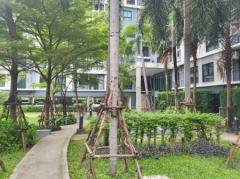 ขาย ไอคอนโด งามวงศ์วาน 2 ขนาด 1 ห้องนอน 27.35 ตรม. ห้องเรียบร้อย เดินทางสะดวก ใกล้ MRT แยกติวานนท์ และกระทรวงสาธารณสุข-202205091354491652079289007.jpg