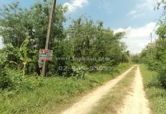 ขายที่ดิน ถนนเลียบคลองซอยที่ 6 ตะวันตก คลองหก ถนนรังสิตนครนายก คลองหลวง ปทุมธานี