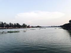 ขาย ที่ดิน ขายที่ดินติดแม่น้ำเจ้าพระยา ติดแม่น้ำ อ.บางปะอิน จ.พระนครศรีอยุธยา 15 ไร่ 2 งาน 26 ตร.วา-202205191820561652959256041.jpg