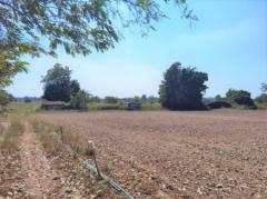 ขาย ที่ดิน ME092 ราคาถูก สระสี่เหลี่ยม พนัสนิคม ชลบุรี เหมาะสร้างบ้าน ทำการเกษตร . 14 ไร่ 1 งาน 58.7 ตร.วา ใกล้ถนนทางหลวง 331 เพียง  5  กม..-202205201749261653043766566.jpg