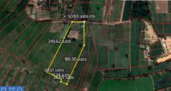 ขาย ที่ดิน ME092 ราคาถูก สระสี่เหลี่ยม พนัสนิคม ชลบุรี เหมาะสร้างบ้าน ทำการเกษตร . 14 ไร่ 1 งาน 58.7 ตร.วา ใกล้ถนนทางหลวง 331 เพียง  5  กม..-202205201749291653043769920.jpg