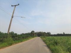 ขาย ที่ดิน แปลงใหญ่ ถูก ลดแรง ME152 หนองชัน หนองอิรุณ บ้านบึง ชลบุรี . 114 ไร่ ติดทางสาธารณะ ห่างถนน 3284 เพียง 2.7 กม.-202206101630021654853402651.jpg