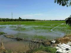 ขายที่ดินบางบัวทอง นนทบุรี 93-1-20 ไร่ ทำเลทองใกล้ถนนกาญจนาภิเษก ติดหมู่บ้านพฤกษา เหมาะทำโครงการบ้านจัดสรร-202206120844081654998248469.jpg