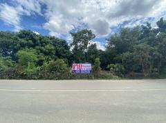 ขายที่สวนผลไม้ เนื้อที่ 7ไร่ 1 งาน 24 ตารางวา ในต.หนองจ๊อม อ.สันทราย-202206301141251656564085961.jpg