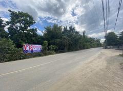 ขายที่สวนผลไม้ เนื้อที่ 7ไร่ 1 งาน 24 ตารางวา ในต.หนองจ๊อม อ.สันทราย-202206301141321656564092804.jpg