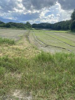 ขายที่ดินติดถนนซอย  เนื้อที่ 14 ไร่ 2 งาน 49 ตารางวา ต.หนองจ๊อม อ.สันทราย จ.เชียงใหม่-202206301311421656569502750.jpg