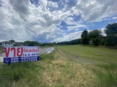 ขายที่ดินติดถนนซอย  เนื้อที่ 14 ไร่ 2 งาน 49 ตารางวา ต.หนองจ๊อม อ.สันทราย จ.เชียงใหม่-202206301312021656569522630.jpg