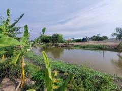 ขาย ที่ดิน หนองจอก สุวินทวงศ์ ติดบ้านเอื้ออาทรสันติสุข 11 ไร่ 1 งาน 56 ตร.วา ใกล้สนามกอล์ฟ the Pine เหมาะทำหมู่บ้าน หรือโกดัง-202207040230041656876604401.jpg