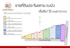 ขายที่ดินประจันตคาม ดงบัง 1 ไร่ ถมแล้ว 100 ตรว. เหมาะทำบ้านสวน ใกล้ถนนสุวรรณ 33 - 2.3 กม. ปราจีนบุรี-202207041028081656905288868.jpg