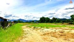 ขายที่ดินวิวเขาสวยๆ ใกล้ถนนสันกำแพงสายใหม่ ตำบลแช่ช้าง อำเภอสันกำแพง -202207091148161657342096489.jpg