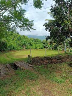 ขายที่ดินนาขั้นบันได วิวทะเลหมอก พร้อมบ้านพักตากอากาศ 5-3-97 ไร่ แม่แรม เชียงใหม่-202207240216141658603774560.jpg