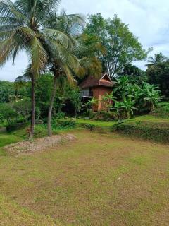 ขายที่ดินนาขั้นบันได วิวทะเลหมอก พร้อมบ้านพักตากอากาศ 5-3-97 ไร่ แม่แรม เชียงใหม่-202207240216251658603785080.jpg