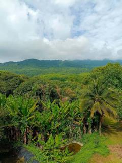 ขายที่ดินนาขั้นบันได วิวทะเลหมอก พร้อมบ้านพักตากอากาศ 5-3-97 ไร่ แม่แรม เชียงใหม่-202207240217271658603847436.jpg