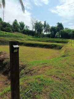 ขายที่ดินนาขั้นบันได วิวทะเลหมอก พร้อมบ้านพักตากอากาศ 5-3-97 ไร่ แม่แรม เชียงใหม่-202207240217421658603862791.jpg