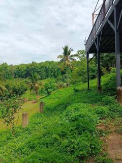 ขายที่ดินนาขั้นบันได วิวทะเลหมอก พร้อมบ้านพักตากอากาศ 5-3-97 ไร่ แม่แรม เชียงใหม่-202207240217471658603867971.jpg