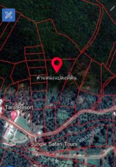 ขาย ที่ดิน (โฉนดที่ดิน นส.4) 11 ไร่ 3 งาน 65 ตร.วา จากท่าเรือหน้าทอน เพียง 2.6 กิโล-202207291533021659083582328.jpg
