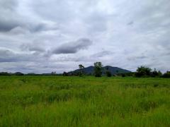 ขายที่ดินระยอง บ้านฉาง 21ไร่ ติดถนนบูรพาพัฒน์*ใกล้ห้างโรบินสัน ใกล้หมุ่บ้าน Eastern Star Foresto*-202208011132021659328322122.jpg