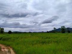 ขายที่ดินระยอง บ้านฉาง 21ไร่ ติดถนนบูรพาพัฒน์*ใกล้ห้างโรบินสัน ใกล้หมุ่บ้าน Eastern Star Foresto*-202208011132221659328342957.jpg