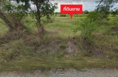 ขาย ที่ดิน ขายที่ดินเปล่า 300 ตร.ว. ตั้งอยู่ อ. หนองเสือ จ.ปทุมธานี 3 งาน-202208041946481659617208459.jpg