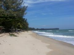 ขาย - เช่า ที่ดินเดินลงชายหาดได้เพียง  50 เมตร ใกล้หาดแหลมกุ่ม ทับสะแก-202209160830271663291827549.jpeg