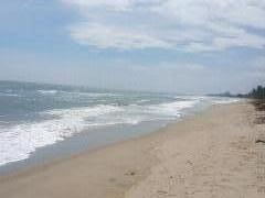 ขาย - เช่า ที่ดินเดินลงชายหาดได้เพียง  50 เมตร ใกล้หาดแหลมกุ่ม ทับสะแก-202209160830291663291829840.jpeg