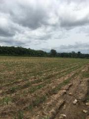 ขายที่ดินเขาใหญ่ 7 ไร่ วิวสวย ทำเลทอง ตำบลหนองสาหร่าย อำเภอปากช่อง จังหวัดนครราชสีมา-202209230851191663897879671.jpg