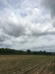 ขายที่ดินเขาใหญ่ 7 ไร่ วิวสวย ทำเลทอง ตำบลหนองสาหร่าย อำเภอปากช่อง จังหวัดนครราชสีมา-202209230851201663897880807.jpg