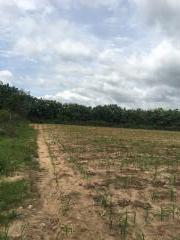 ขายที่ดินเขาใหญ่ 7 ไร่ วิวสวย ทำเลทอง ตำบลหนองสาหร่าย อำเภอปากช่อง จังหวัดนครราชสีมา-202209230851211663897881867.jpg