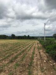 ขายที่ดินเขาใหญ่ 7 ไร่ วิวสวย ทำเลทอง ตำบลหนองสาหร่าย อำเภอปากช่อง จังหวัดนครราชสีมา-202209230851221663897882973.jpg