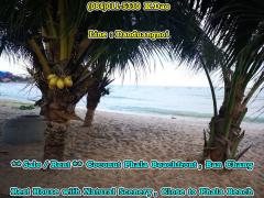 Coconut Phala Beachfront *** Sale/Rent *** Close to Phala Beach-202209271447011664264821384.jpg