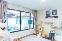 ขาย-เช่า ทาวน์โฮม Patio พัฒนาการ32 โครงการใหม่ เพดานสูง Double Volume-202211181458491668758329849.jpg