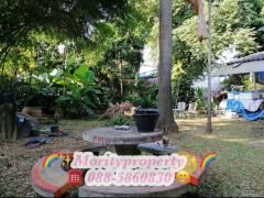 #ขายที่ดินซอยเฉลิมพระเกียรติ ร.9 ซอย 6 แยก 5ใกล้ศูนย์ซ่อมบำรุงรถไฟฟ้าสายสีเหลือง-202211241610341669281034467.jpg