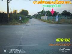 ขาย ที่ดิน ติดถนนเทพกุญชร36 200 ตร.วา คลองหลวง ปทุมธานี-202211291435201669707320177.jpg
