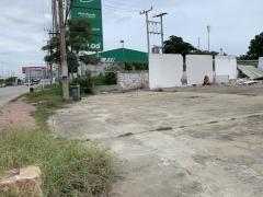 ขาย ที่ดิน ขายที่ดินติดถ.เพชรเกษม จ.นครปฐม 9 ไร่ 2 งาน 51 ตร.วา-202212272030331672147833314.jpg