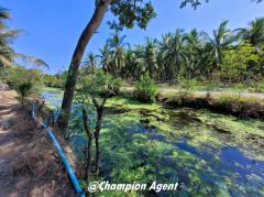 ขาย ที่ดิน สวนมะพร้าว ติดคลอง ต.ดอนมะโนราห์ จ.สมุทรสงคราม 5 ไร่ 0.8 ตร.วา ติดถนน-202301161656581673863018239.jpg