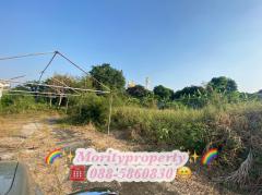 ขายที่ดินเปล่าซอยศรีนครินทร์ 55 ซอยหมู่บ้านเสรีวิลล่า 3 แยก 3 -202301170947561673923676165.jpg