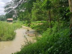 ขาย ที่ดิน ต.ขะอม อ.แก่งคอย 13 ไร่ ติดคลอง มีน้ำตลอดปี หายาก และวิวภูเขา-202301201251021674193862347.jpg