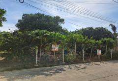 ขายที่ดินหมู่บ้านสาวิตรี ถนนพุทธมณฑลสาย3 บรมราชชนนี เขตทวีวัฒนา กรุงเทพมหานคร-202301231553371674464017591.jpg